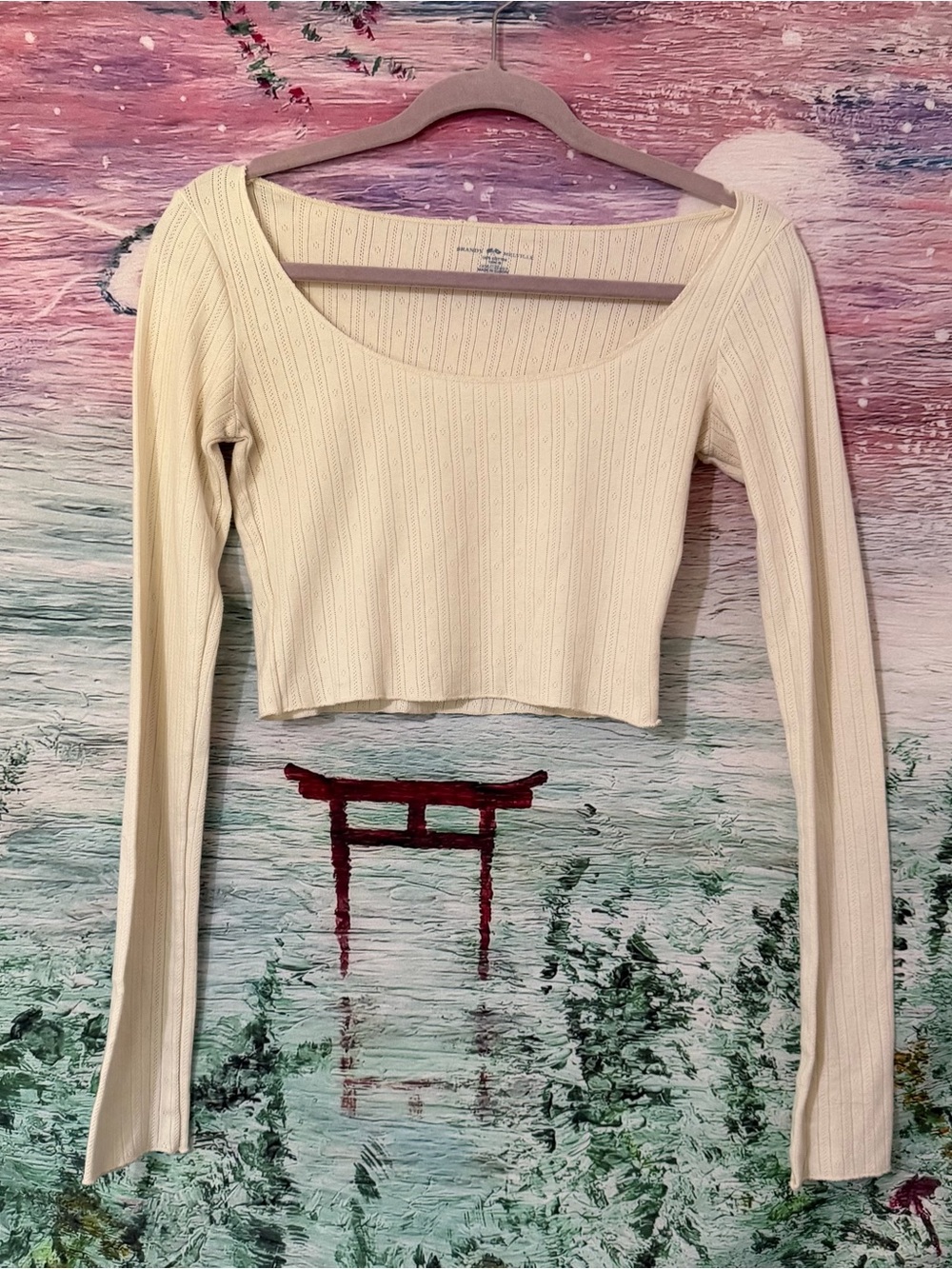 Long-Sleeve Ribbed Scoop Neck Crop Top - Cream